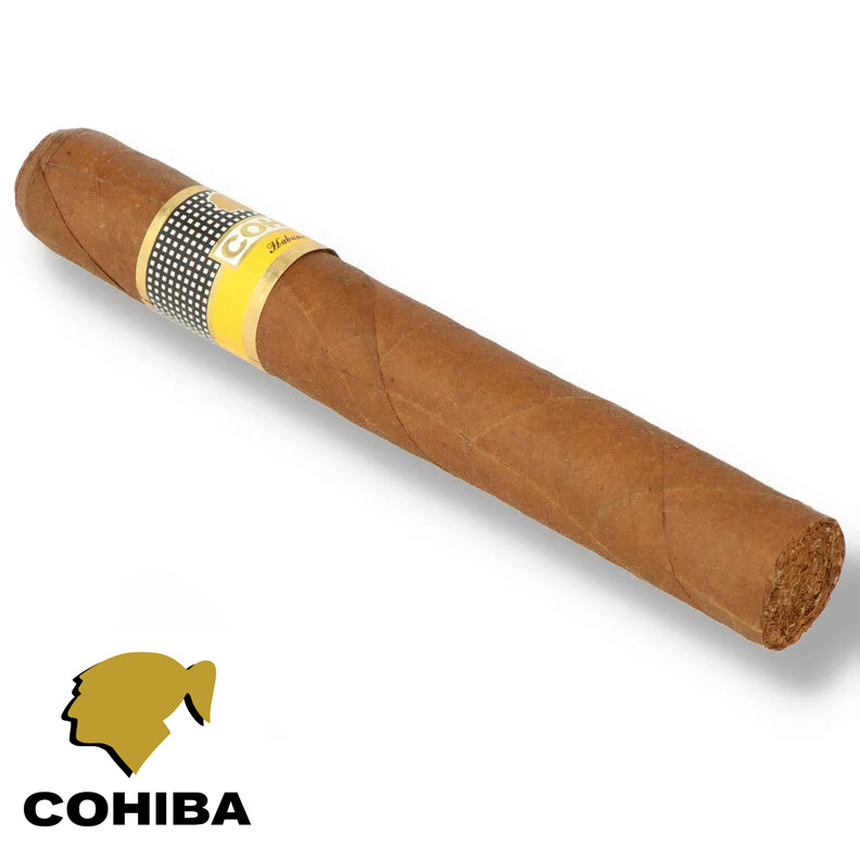 Charuto Cohiba Siglo VI em mato grosso