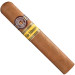 Charuto Montecristo wide edmundo mato grosso