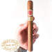 Charuto Romeo y Julieta Churchills mato grosso